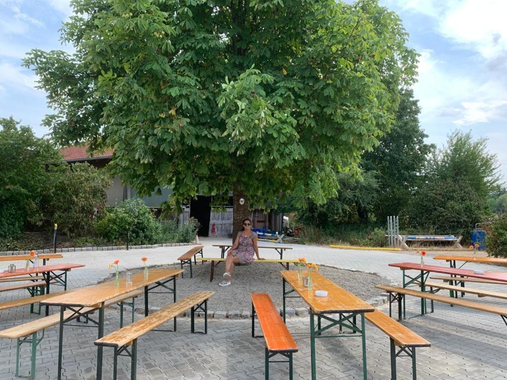 Reitschule Kronwitter Mainbernheim Eksteriør billede